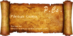 Pántya Csaba névjegykártya